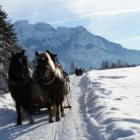 Ferienwohnung Alpenstern Rieden Esterno foto