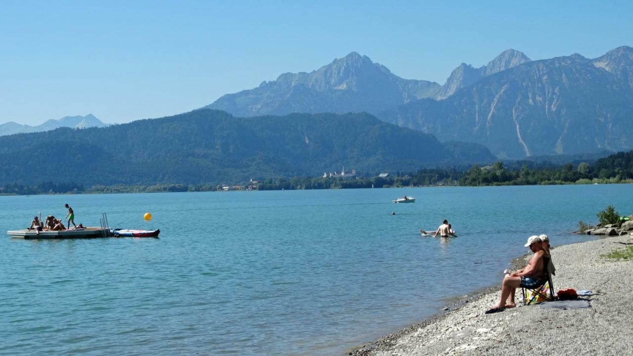 Alpenstern *