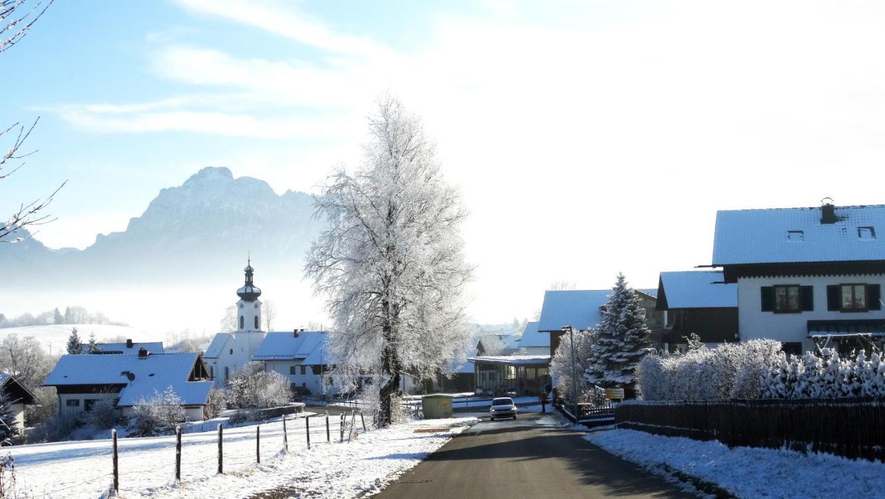Alpenstern *